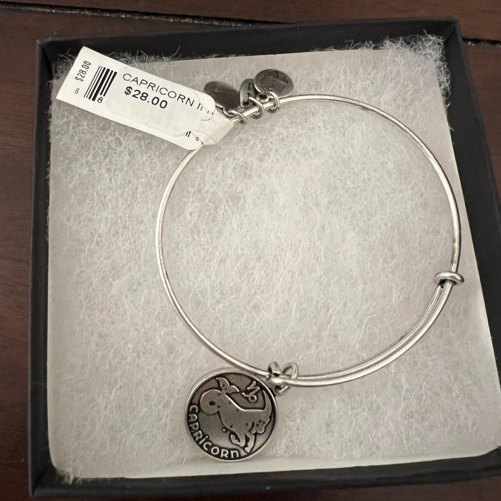 Alex and Ani Capricorn Charm Bangle